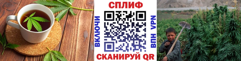 Canna-Cookies марихуана  сайты даркнета состав  Голицыно 